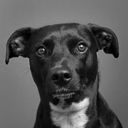 Zoe – Chief Cuteness Officer